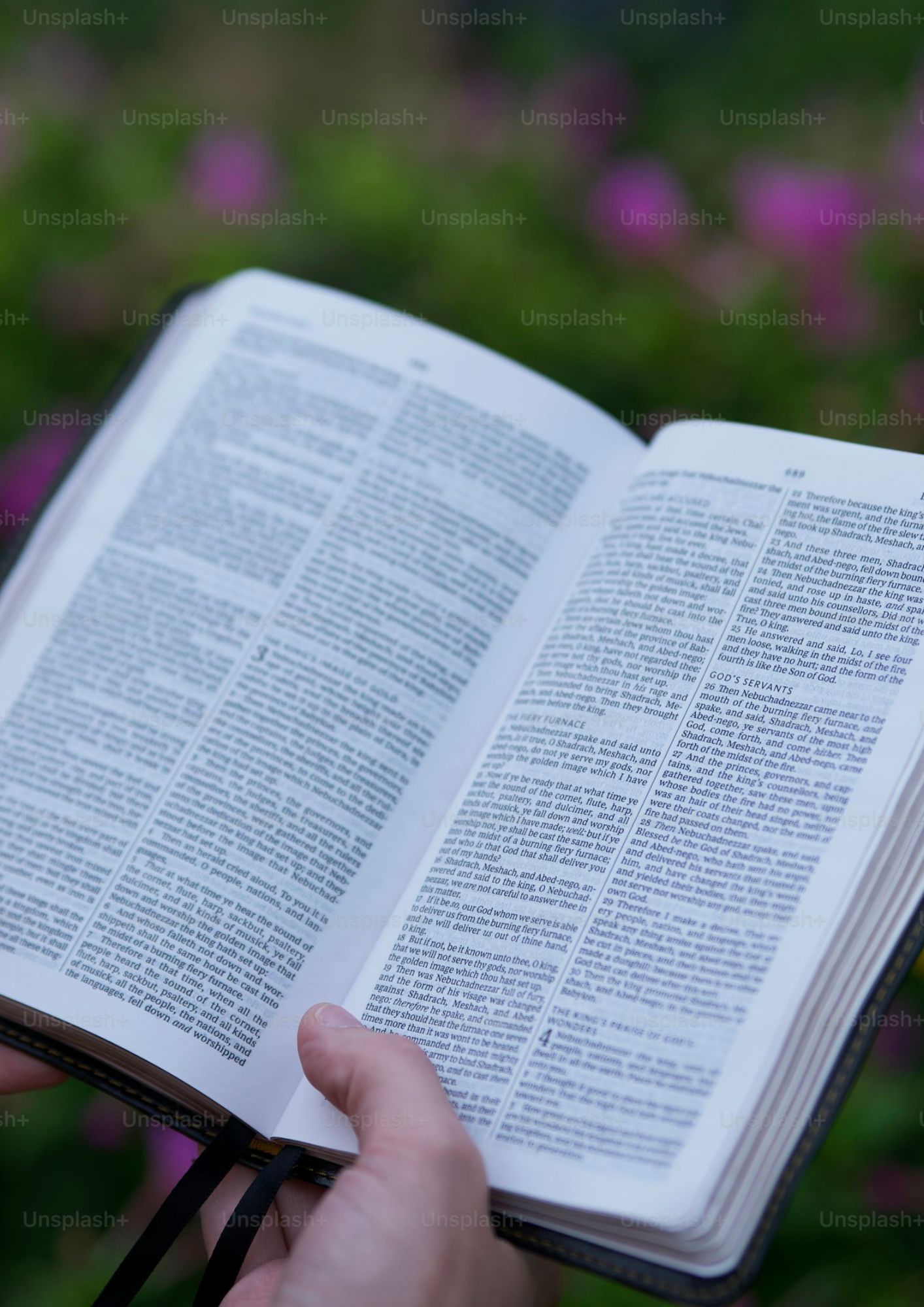 bible-therevivallife